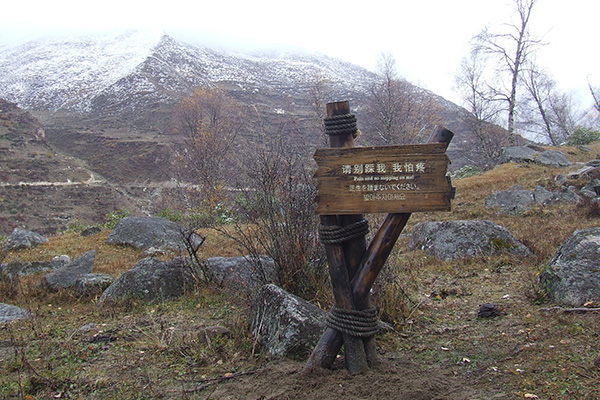 景區指示標牌 景區指示標牌