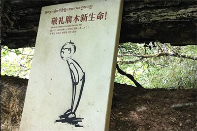 旅游景區標牌的規劃設計 旅游景區標牌的規劃設計