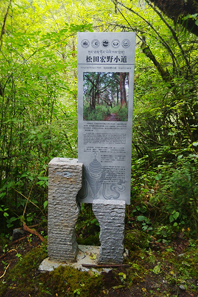 導向系統 導向系統