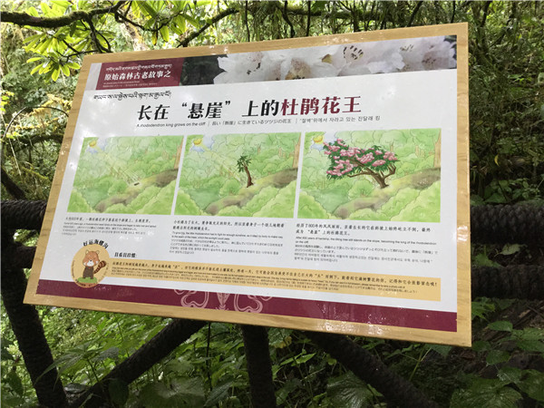 標識設計制作 標識設計制作